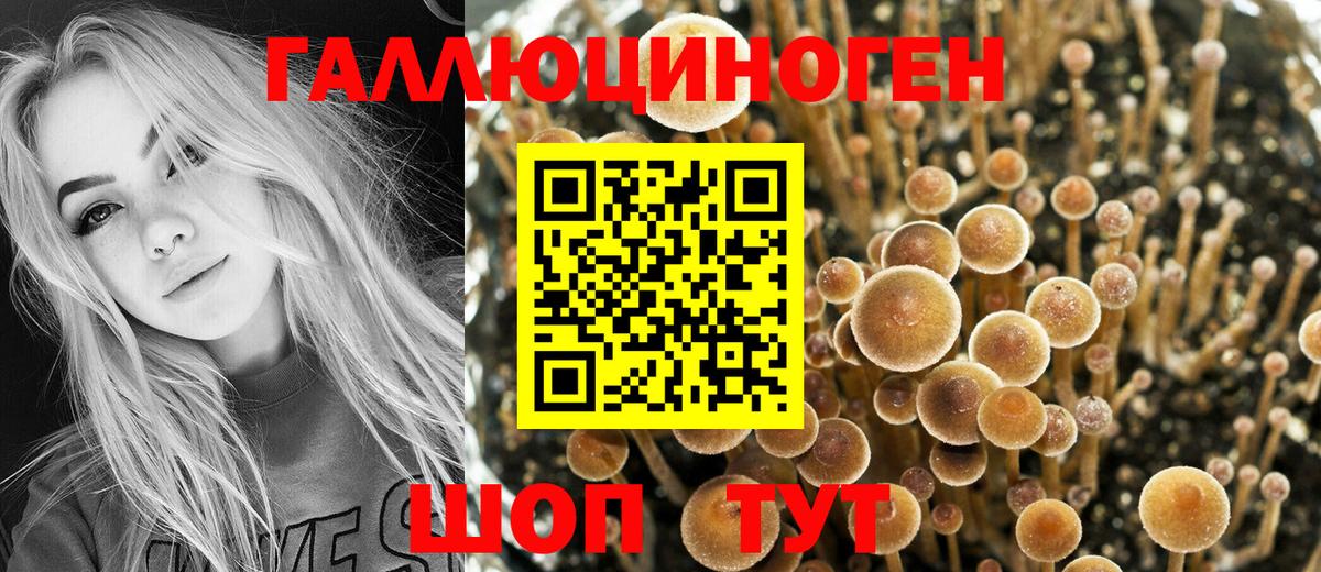 Псилоцибиновые грибы Cubensis Ноябрьск